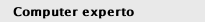 Computer experto