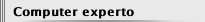 Computer experto